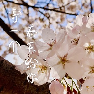 寄一个春天给你 伴奏