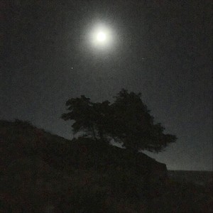 Last Night in Malibu