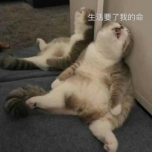 发这首歌我也是被逼的