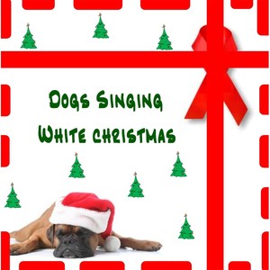 Dogs Singing White Christmas