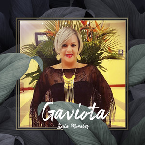 Gaviota