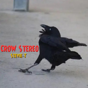 Crow Stereo