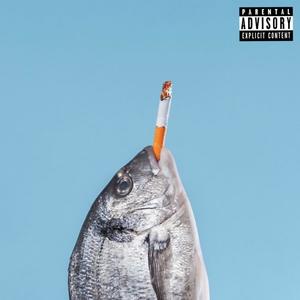 FISH (Explicit)
