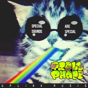 Special Sounds Are Speical