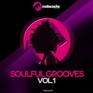 Soulful Grooves, Vol. 1