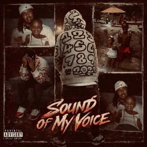 Sound Of My Voice (Explicit)