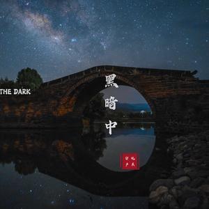 黑暗中 (伴奏)