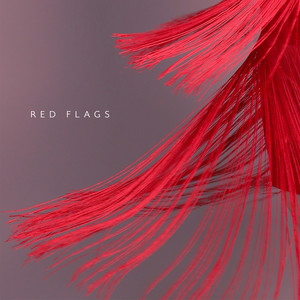 Red Flags