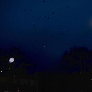 Cold weather (Explicit)