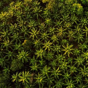 The Recipe (Yung Veneno) (feat. RH) (Zach Sutton Remix|Explicit)