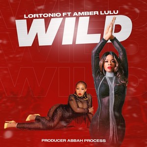 Wild (feat. Amber Lulu)