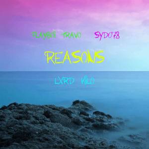 Reasons (Explicit)