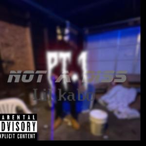 Not A Diss Pt. 1 (Explicit)