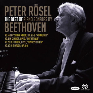 ピアノ・ソナタ第8番 ハ短調  Op. 13 「悲愴」 第3楽章:ロンド,アレグロ