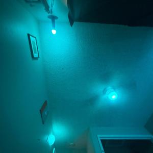 myself (feat. nevrr)