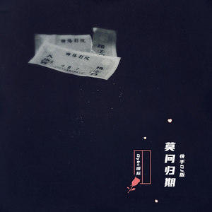 莫问归期 (DJ版)