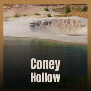 Coney Hollow