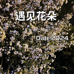 遇见花朵