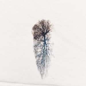 Metrix (Explicit)