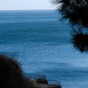 做人要像清水一样