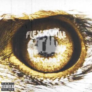 Birds Eye View (Explicit)