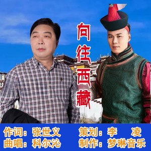 向往西藏