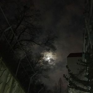 You Drive Me Crazy - Techno