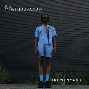 Ingwenyama