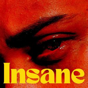 Insane (feat. Fay Wildhagen & Jesper Jenset)