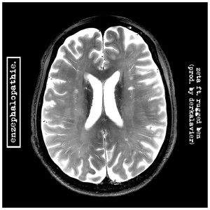 Enzephalopathie (Explicit)