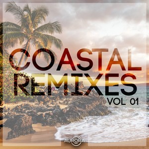 Seacoast Sunset (Noise Zoo Remix)