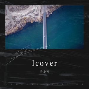雪落下的声音 (Live)