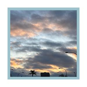 Birds (Interlude)