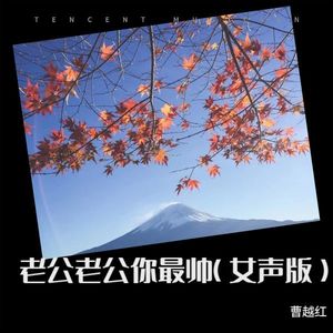 老公老公你最帅 (女声版)