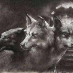 betas (feat. ihyzhel & scarce) (Explicit)