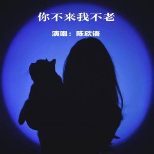 你不来我不老
