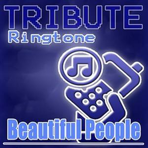 Beautiful People (Chris Brown Feat. Benny Benassi Tribute) - Ringtone