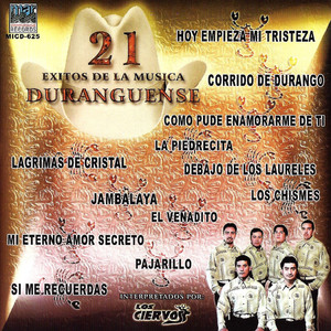 21 Exitos De La Musica Duranguense