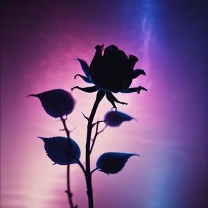 Ubicación (Zona Prohibida)