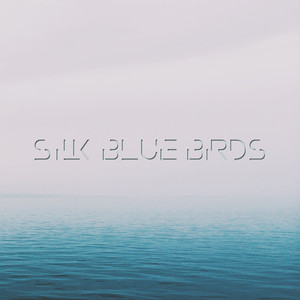 Silk Blue Birds