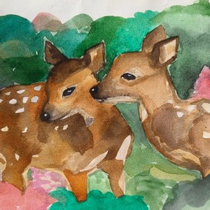 the language of birds