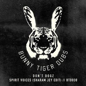 Spirit Voices (Sharam Jey Edit)