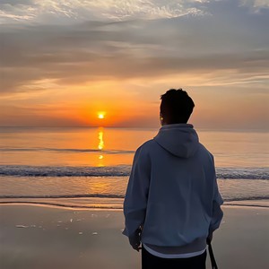 沙鸥遇海滩