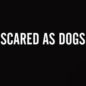 Scared as Dogs (Mixed by Andrea Cosentino, Mastered by Marco Vannucci)