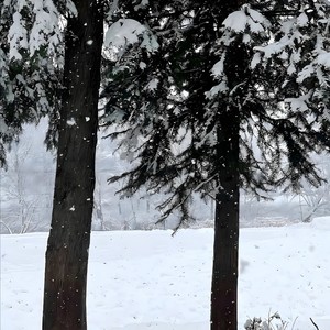 In My Song (潮流舞蹈Bgm)