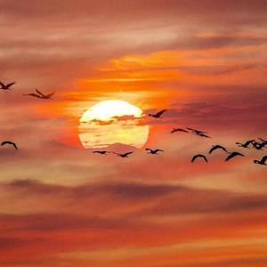 Happy type beat hip hop instrumental | '2020'