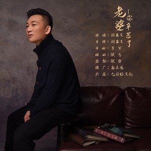 老婆你辛苦了 (DJ版)