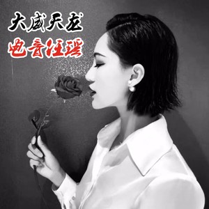 条子专属 (Remix)