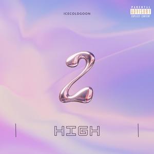 2 High (feat. Organic) [Explicit]