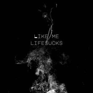 Like Me (Explicit)